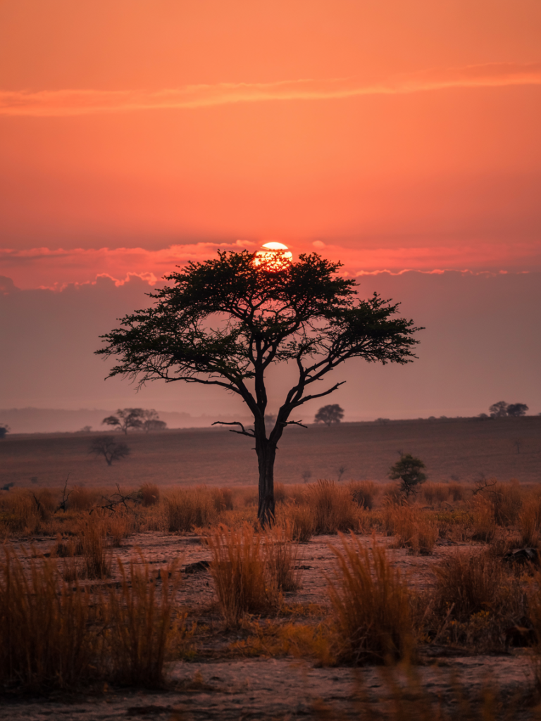 Kenya