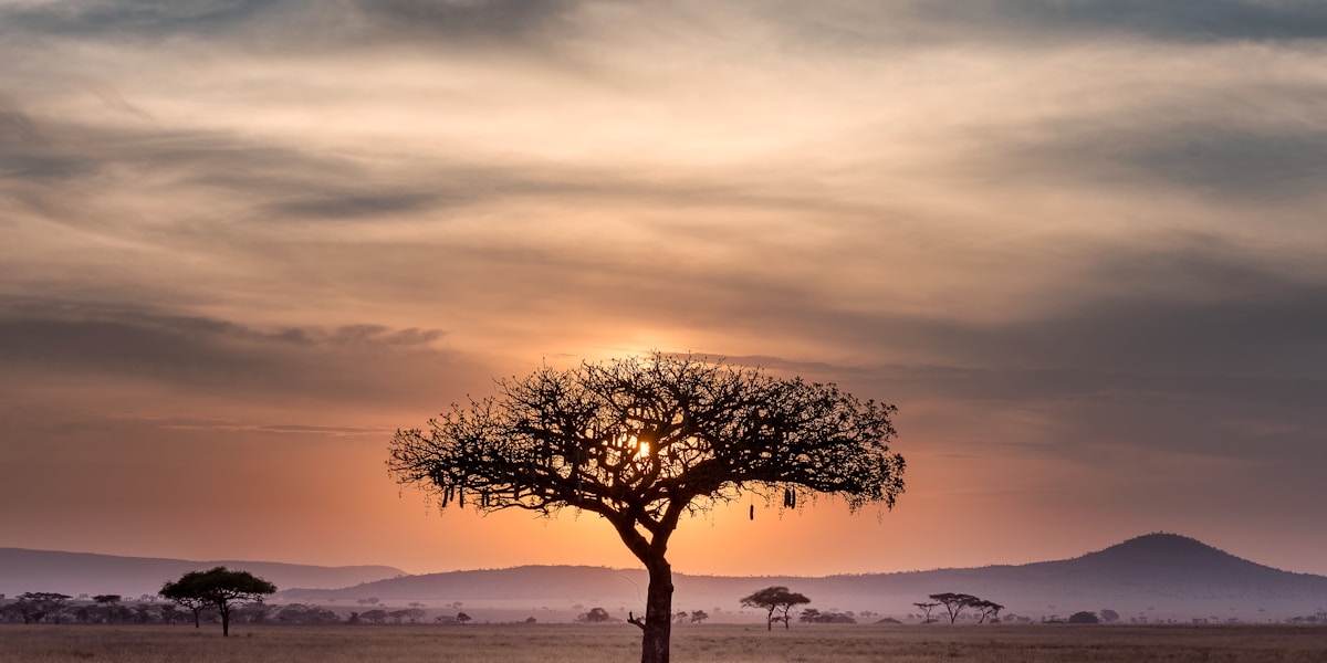 Africa travel